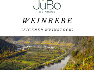 JuBo Mosel-Weinrebe