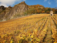 Mittelrhein-Tagesreise