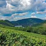 Weinreisen für Weinkenner