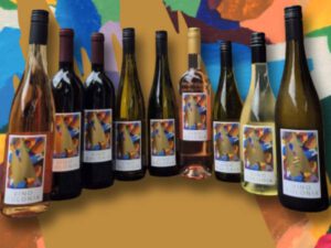 Vino Colonia Bundle 9 verschiedene Flaschen Original Kölnwein